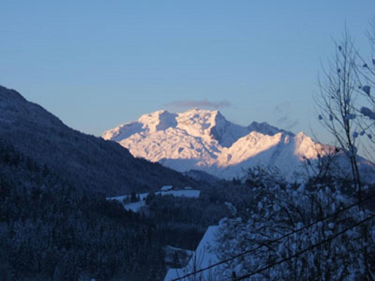 "Chalet Les Aravis" Chalet Et Appartements เลอกรองด์บอร์นอง ภายนอก รูปภาพ