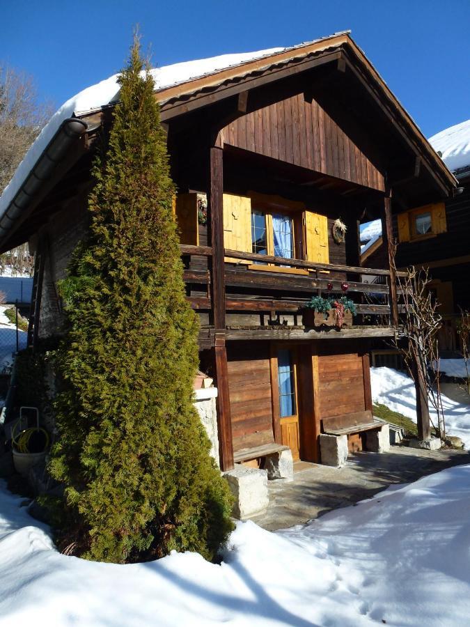 "Chalet Les Aravis" Chalet Et Appartements เลอกรองด์บอร์นอง ภายนอก รูปภาพ