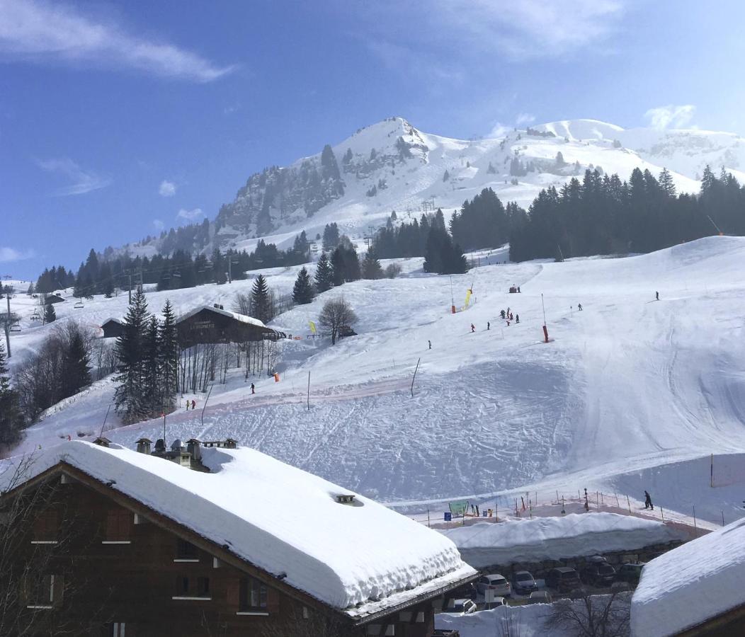 "Chalet Les Aravis" Chalet Et Appartements เลอกรองด์บอร์นอง ภายนอก รูปภาพ